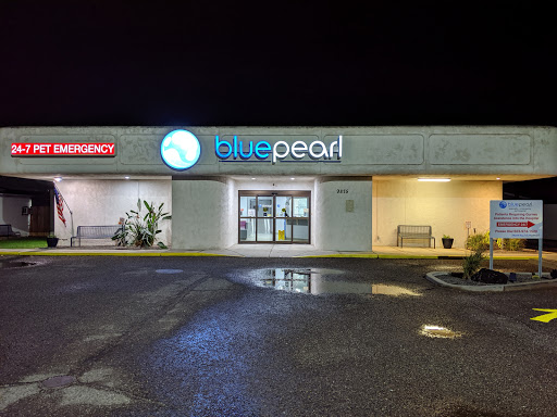 BluePearl Pet Hospital image