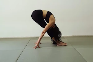 OmG Yoga יוגה בזכרון יעקב image