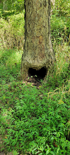 Park «Bull Run Regional Park», reviews and photos, 7700 Bull Run Dr, Centreville, VA 20121, USA