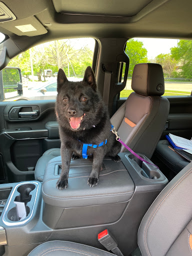 Buick Dealer «Freeman Grapevine», reviews and photos, 501 TX-114, Grapevine, TX 76051, USA