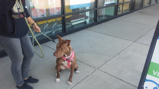 Pet Supply Store «Quality Pet Market», reviews and photos, 5543 Mahoning Ave, Austintown, OH 44515, USA