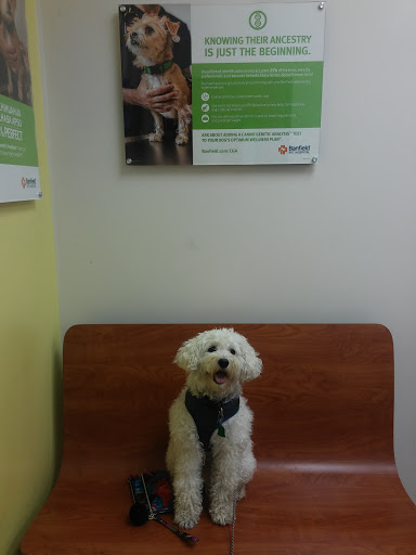 Pet Supply Store «PetSmart», reviews and photos, 5465 Dressler Rd NW, North Canton, OH 44720, USA