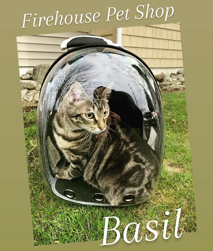 Pet Store «Firehouse Pet Shop & Grooming», reviews and photos, 17 S Wenatchee Ave, Wenatchee, WA 98801, USA