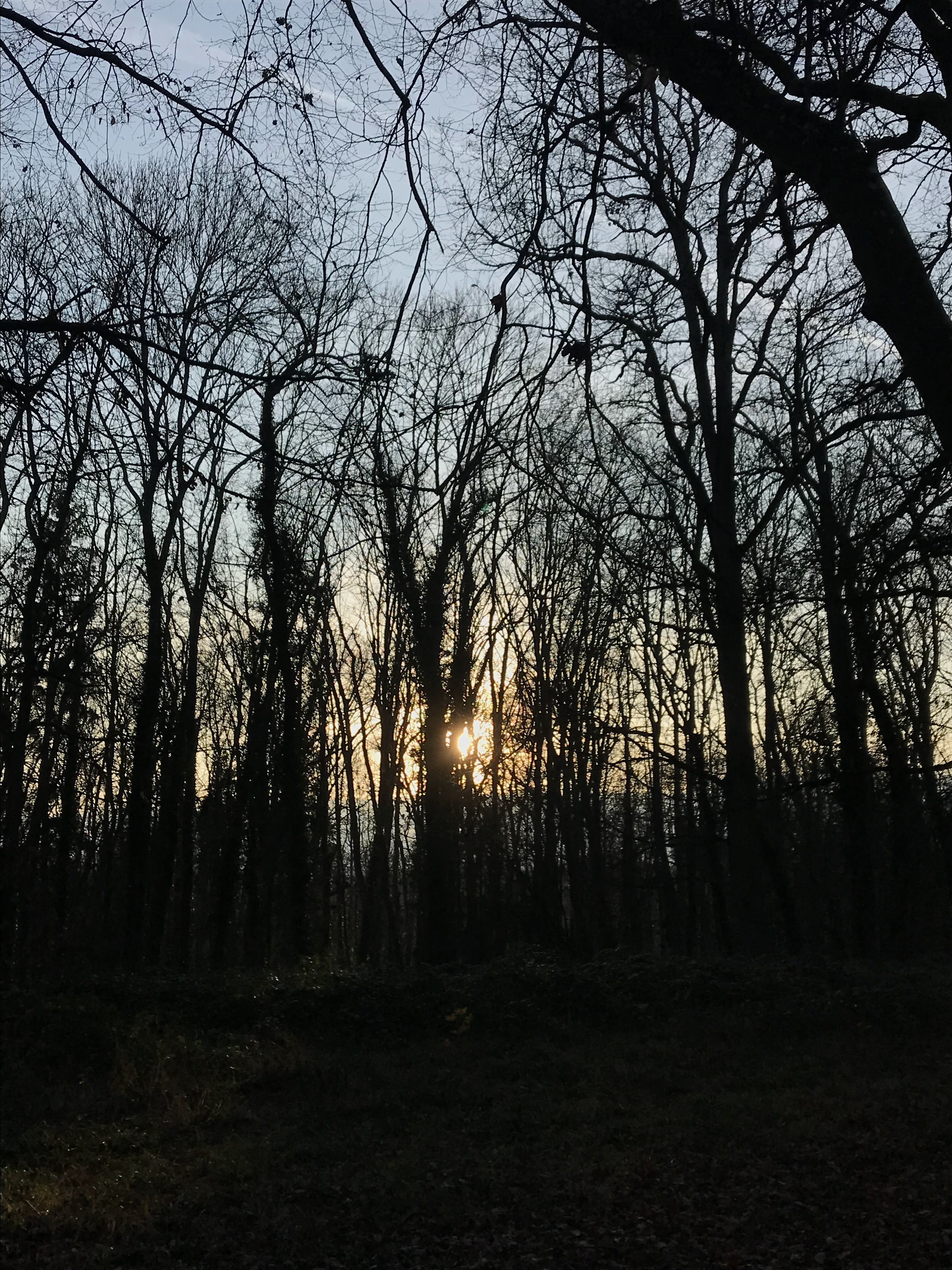Photo n° 2 de l'avis de kla. fait le 20/12/2021 à 15:53