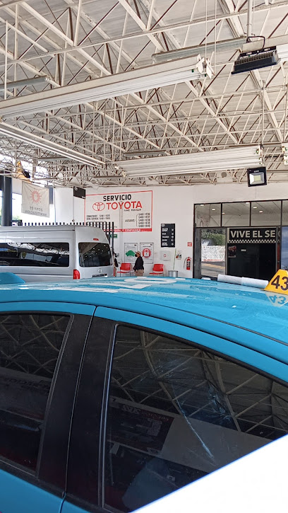 Agencia Toyota