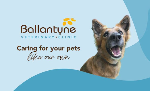 Ballantyne Veterinary Clinic image