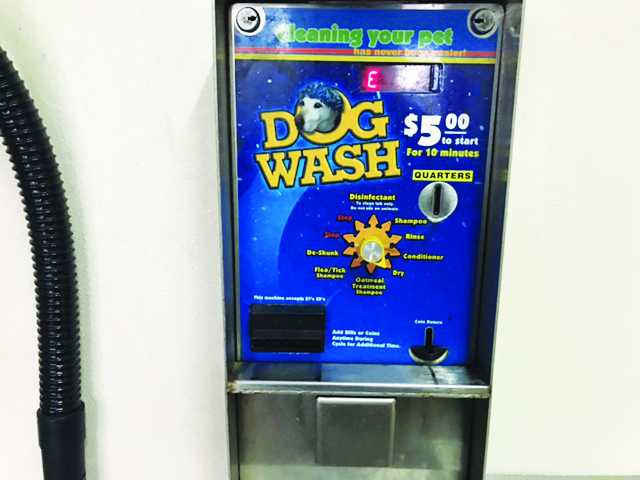 Wiley's Self Service Pet Wash