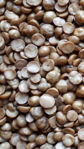Opiniones de Tostaduria de Avellanas Chilenas Belen en Gorbea - Tienda