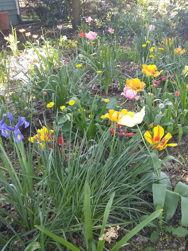 Park «Laurelhurst Park», reviews and photos, SE Cesar E Chavez Blvd & Stark St, Portland, OR 97214, USA