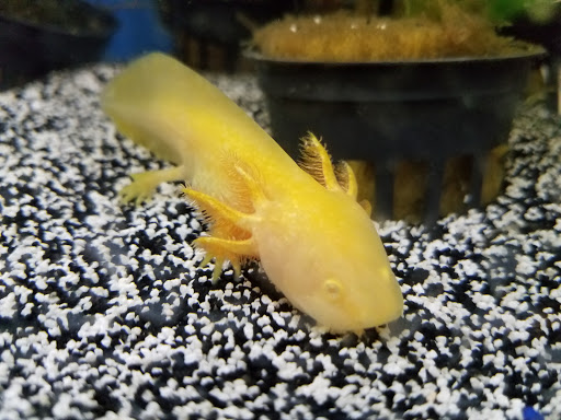 Pet Supply Store «Petco Animal Supplies», reviews and photos, 10 Sylvan St, Peabody, MA 01960, USA