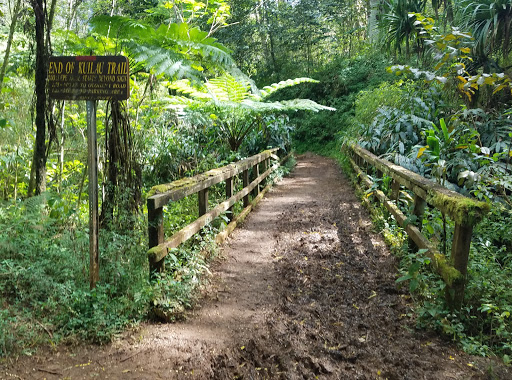 Kuilau Ridge Trailhead