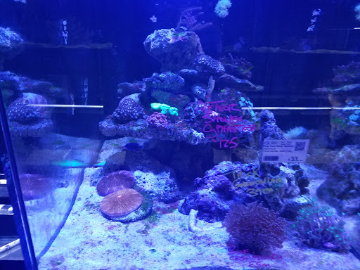 Tropical Fish Store «Living Art Aquarium», reviews and photos, 708 S Gammon Rd, Madison, WI 53719, USA