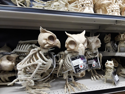 Discount Store «Big Lots», reviews and photos, 5710 196th St SW, Lynnwood, WA 98036, USA