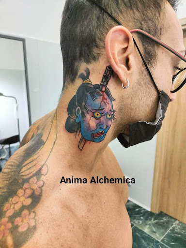 Anima Alchemica