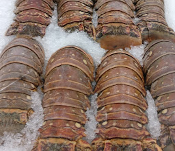 Costco Wholesale photo