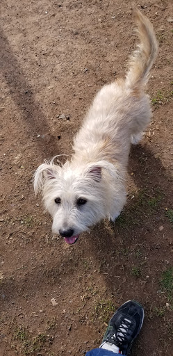 Park «Memorial Field Park», reviews and photos, 46 Lower Rd, Linden, NJ 07036, USA