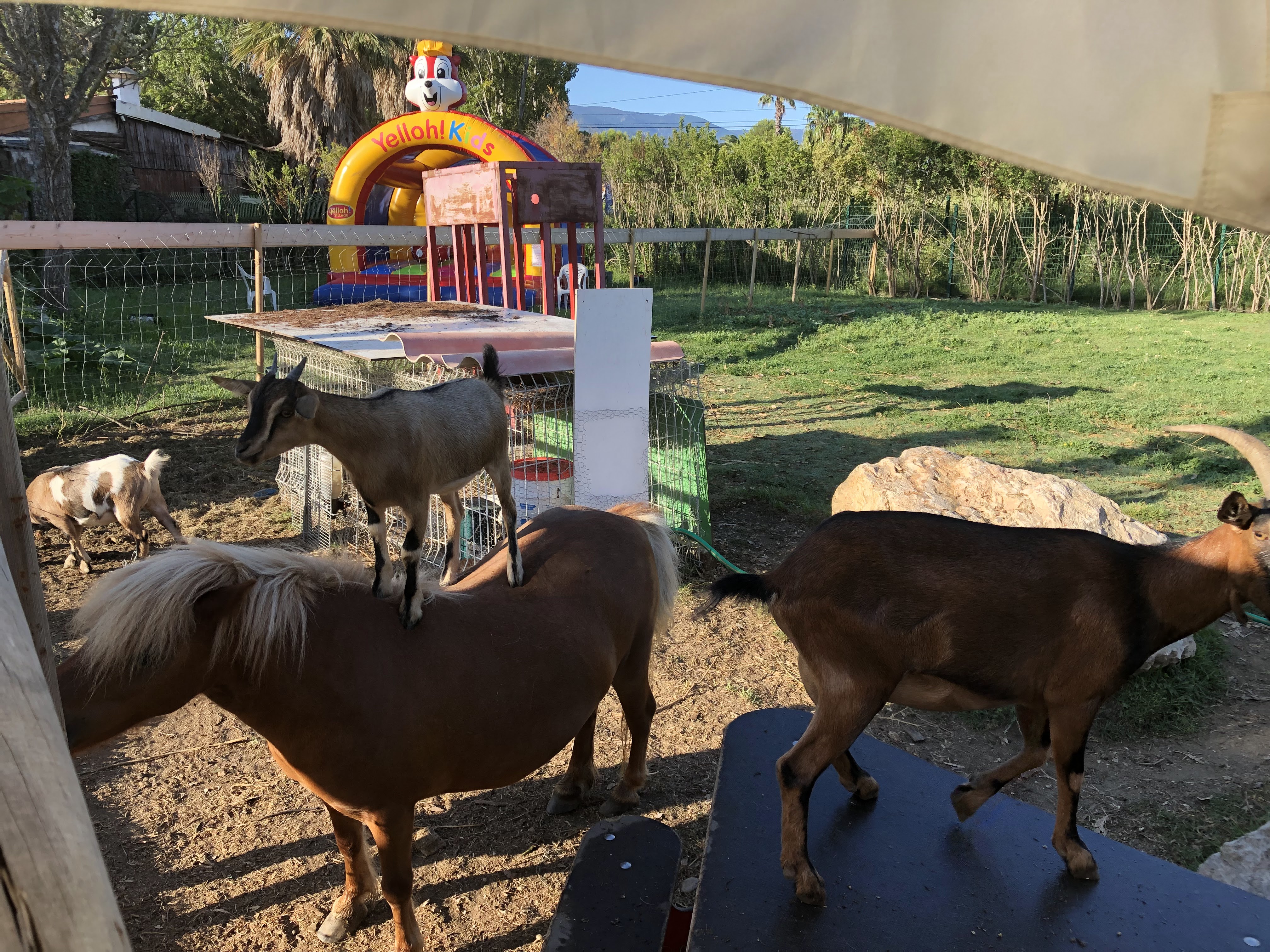 Photo n° 1 de l'avis de Stéphane.O fait le 17/08/2019 à 10:04