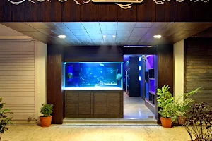 Sagar Aquarium - Best Aquarium Shop, Fish Aquarium, Aquarium Exotic Fishes image