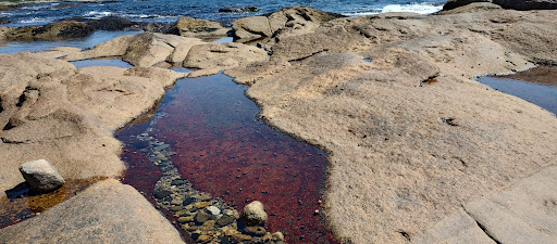 Hiking Area «Black Point Trailhead», reviews and photos, 655 Ocean Rd, Narragansett, RI 02882, USA
