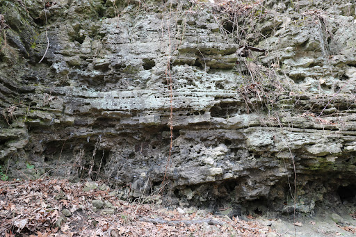 Learning Center «Sagawau Environmental Learning Center», reviews and photos, 12545 111th St, Lemont, IL 60439, USA