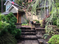 Best In Home Dog Services - Photo 2 - Car repair in , Elgin