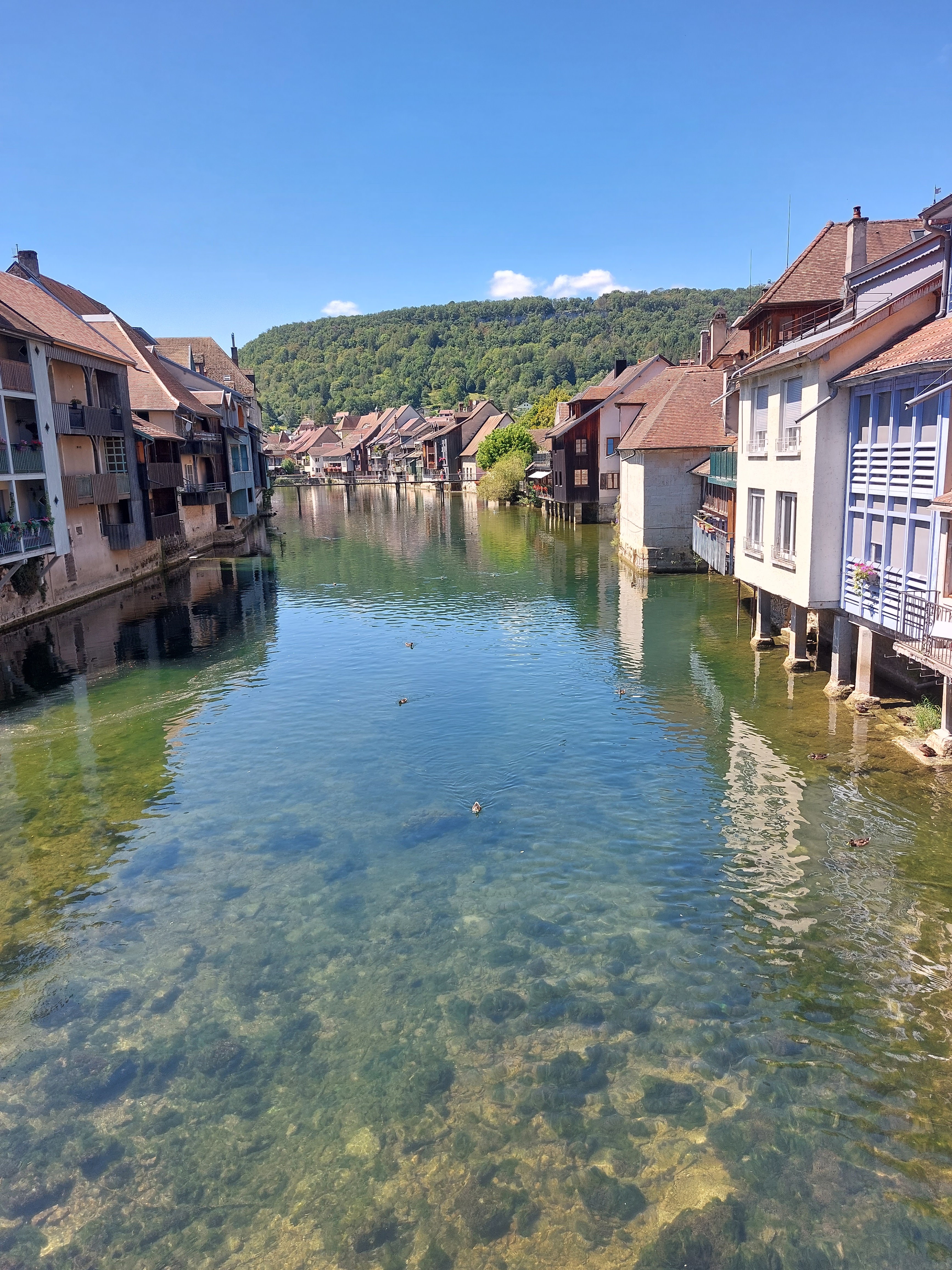 Photo n° 4 de l'avis de Rejosyl. fait le 29/07/2023 à 14:19