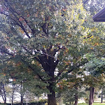 Photo n°9 de l'avis de Francesca.a fait le 09/11/2022 à 13:04 sur le  Agriturismo Fenilgrande à Offlaga