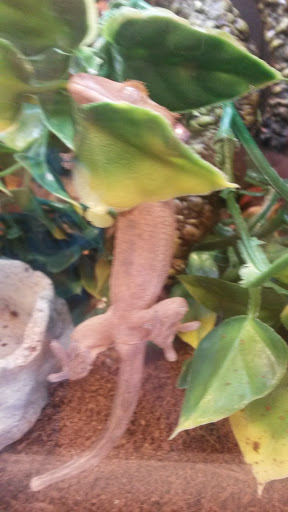 Pet Supply Store «PetSmart», reviews and photos, 219 Stafford Park Blvd, Manahawkin, NJ 08050, USA