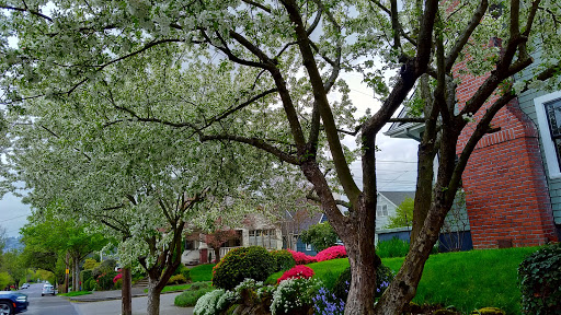 Park «Sewallcrest Park», reviews and photos, SE 31st Ave & Market St, Portland, OR 97214, USA