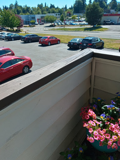 Paint Store «Sherwin-Williams Paint Store», reviews and photos, 15833 1st Avenue South, Burien, WA 98148, USA