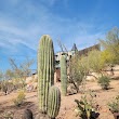 Arizona Ghost Town Tours