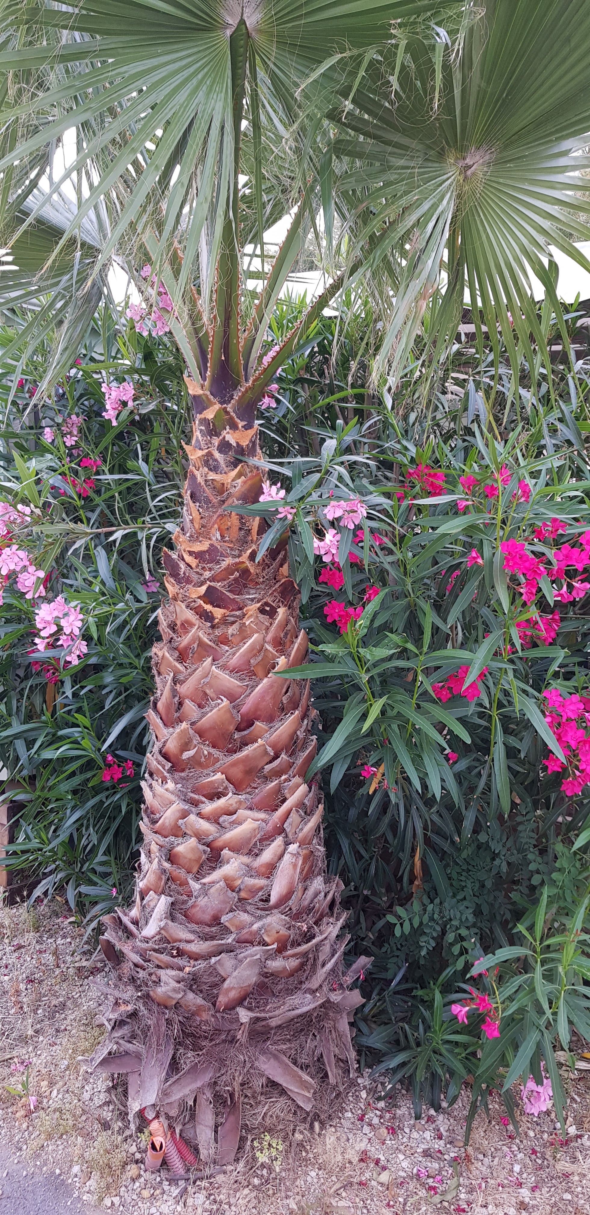 Photo n° 3 de l'avis de Natalia.a fait le 05/07/2018 à 20:31