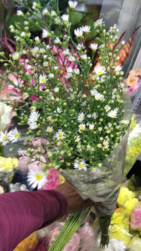 Flores Del Prado
