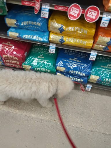 Pet Supply Store «Petco Animal Supplies», reviews and photos, 859 Kings Creek Dr, Tupelo, MS 38804, USA