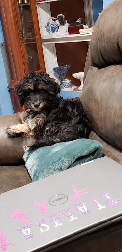 Pet Store «Liberty Agway Pet Center», reviews and photos, 11 Bon Jovi Ln, Liberty, NY 12754, USA