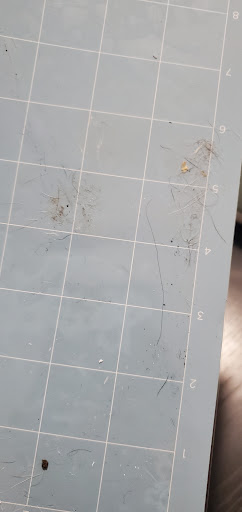 Craft Store «Michaels», reviews and photos, 2041 U.S. 287 Frontage Rd #501, Mansfield, TX 76063, USA