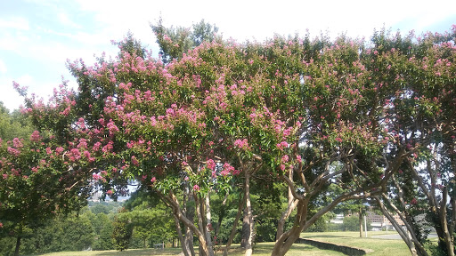 Museum «The George Washington Masonic National Memorial», reviews and photos, 101 Callahan Dr, Alexandria, VA 22301, USA