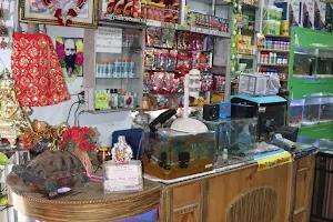 Aquarium Hut-Pet Accessories/Fish Aquarium/Birds/Dealers/Dog Food in Palampur image