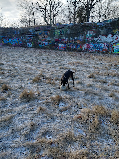 Coffee Shop «Donut King», reviews and photos, 151 Copeland St, Quincy, MA 02169, USA