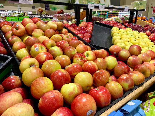 Supermarket «Publix Super Market at LaBelle Plaza», reviews and photos, 1555 S Highland Ave, Clearwater, FL 33756, USA