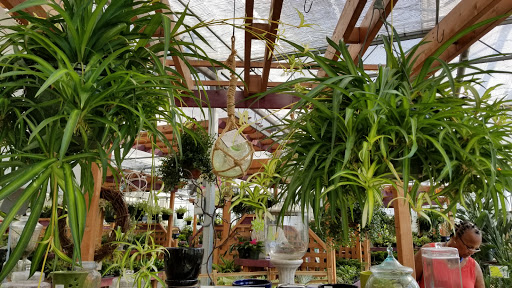 Artificial plant supplier Newport News