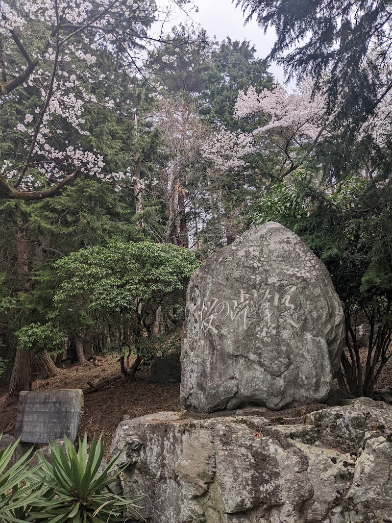 定峰峠の桜 記念碑
