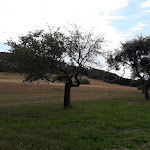 Photo n°6 de l'avis de Karin.u fait le 08/07/2020 à 05:33 sur le  Land-gut Hotel zur Post à Altenahr