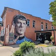 Star Trek Spock Mural