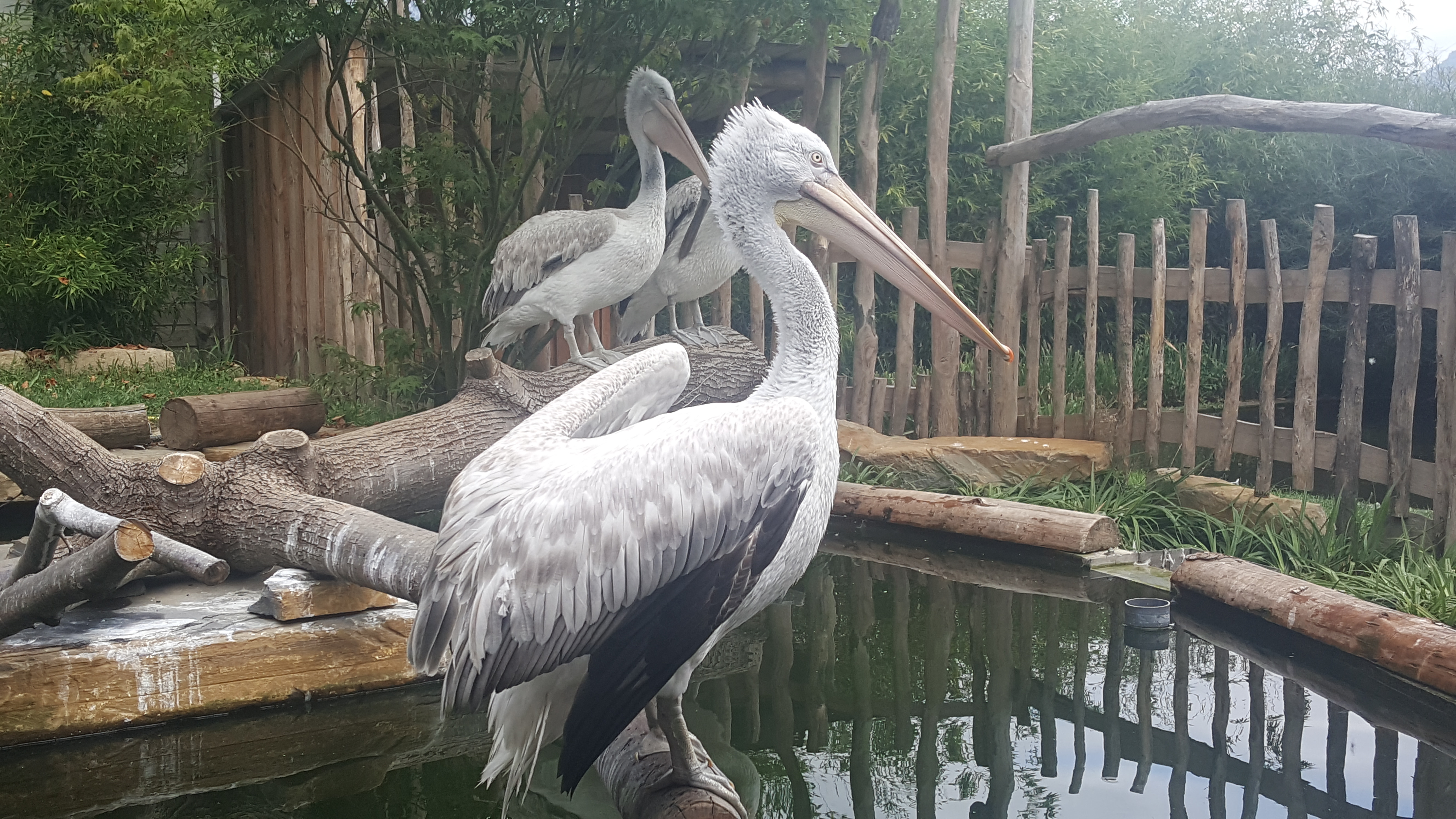 Photo n° 2 de l'avis de Coralie.u fait le 29/09/2018 à 17:41