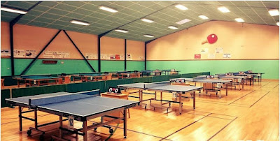 Périgné Tennis de Table à Périgné