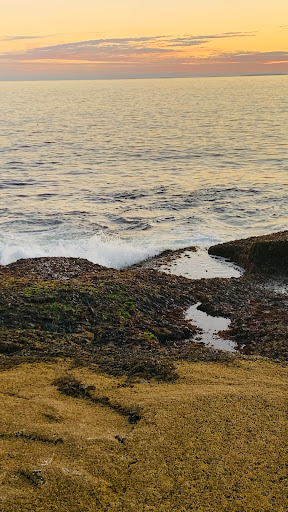 Vista Point «Schoodic Point», reviews and photos, Arey Cove Rd, Winter Harbor, ME 04693, USA