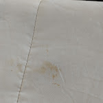 Photo n°5 de l'avis de Francesca.r fait le 13/08/2021 à 16:24 sur le  Ristorante Hotel Insteia à Polla