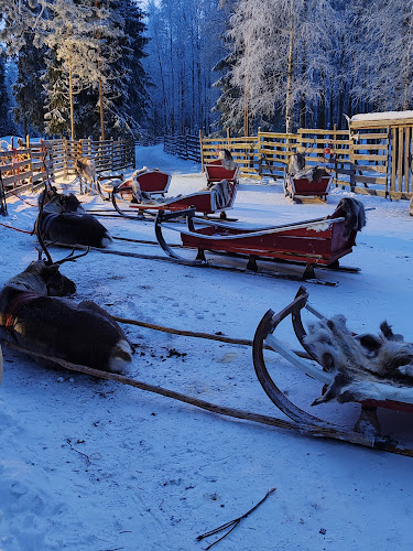 Safartica, Koskikatu 9, 96200 Rovaniemi