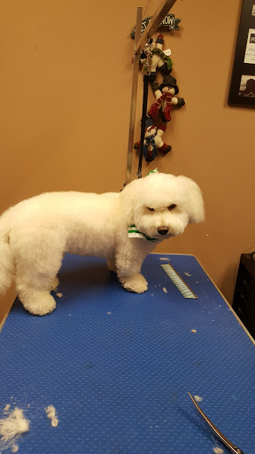 Pet Store «Pet Valu», reviews and photos, 2645 Shillington Rd, Sinking Spring, PA 19608, USA